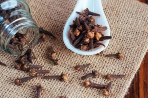 Indonesian-Clove-Bud-Oil