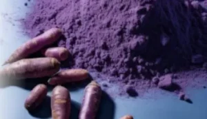 Purple-Carrot-Powder