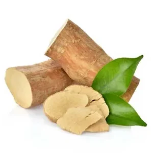 Tongkat