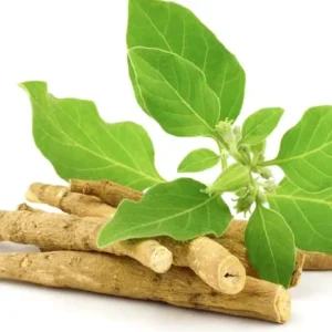 ashwagandha ingredients